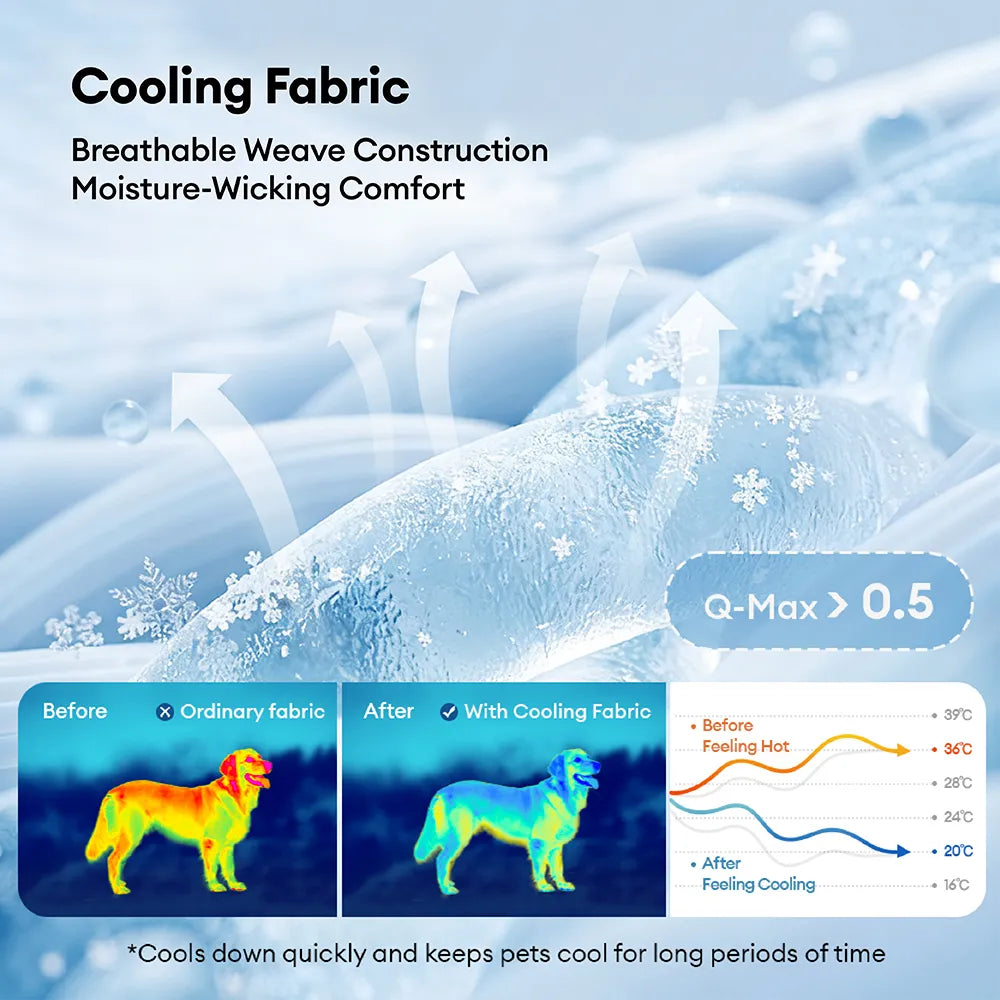 Linden | Cooling Orthopedic Dog Bed with Memory Foam and Washable Water Resistant Cover - image 11