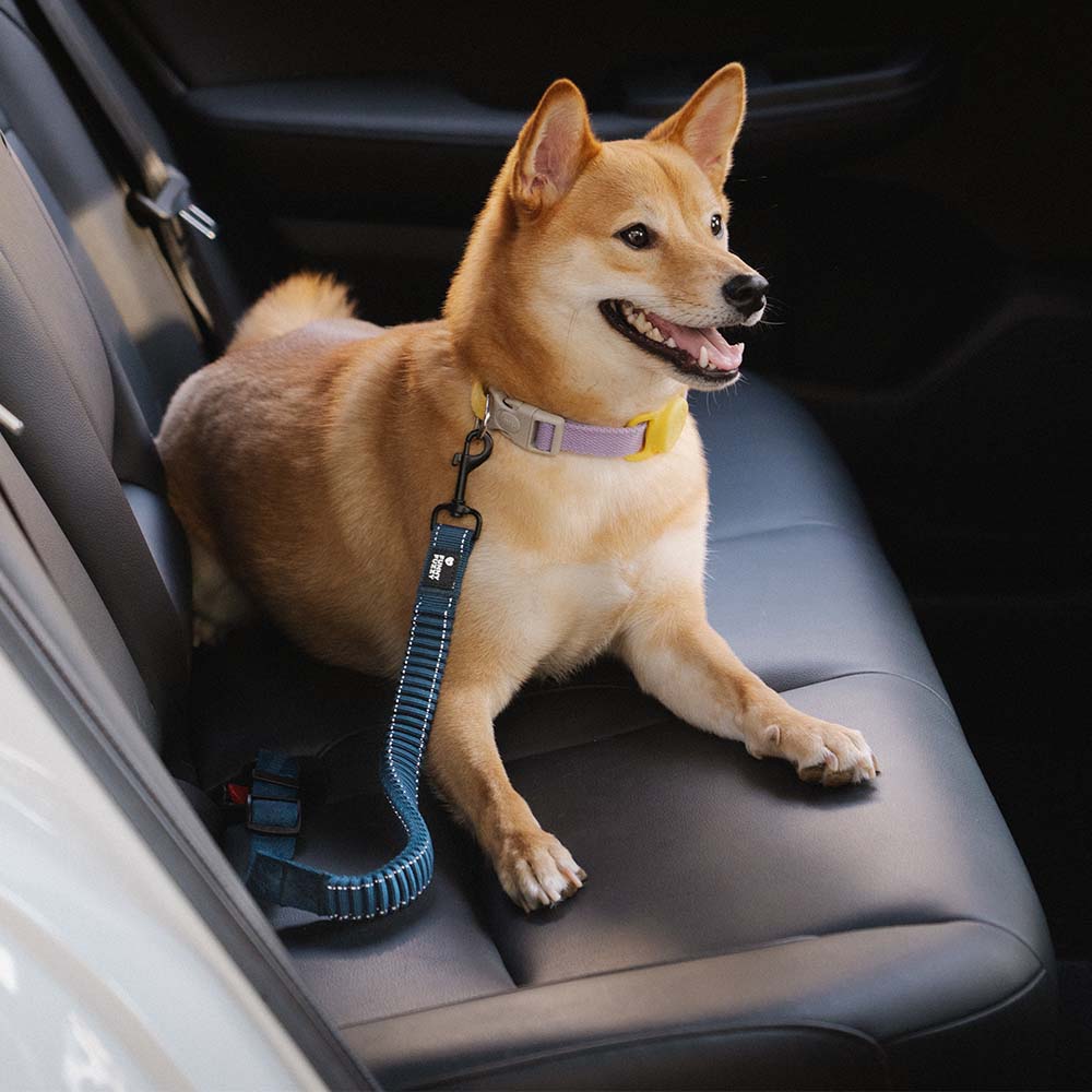 Malua | Adjustable Elastic Dog Car Seat Belt with Reflective Trim - image 11