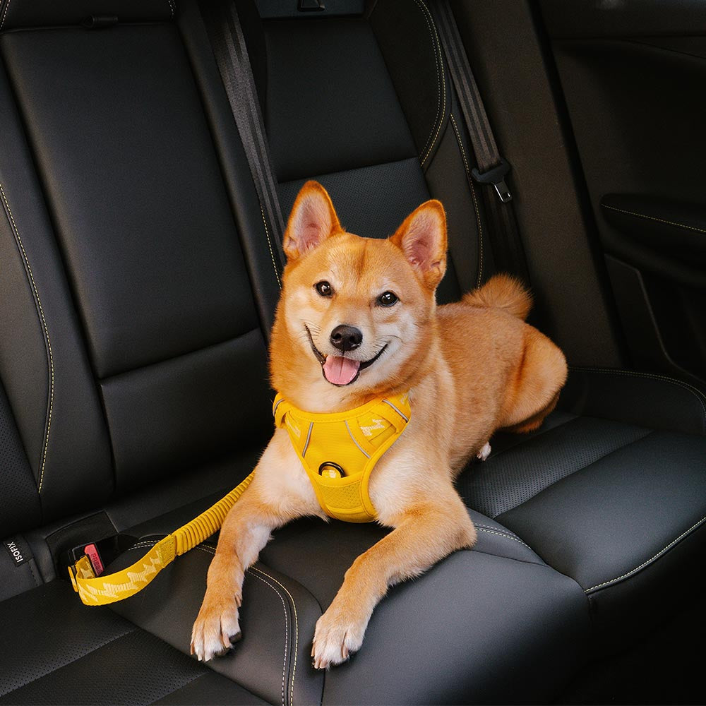 Malua | Adjustable Elastic Dog Car Seat Belt with Reflective Trim - image 2