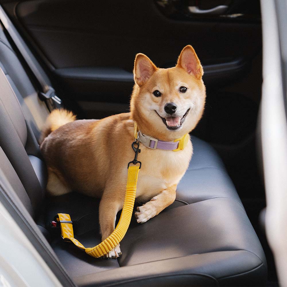 Malua | Adjustable Elastic Dog Car Seat Belt with Reflective Trim - image 8