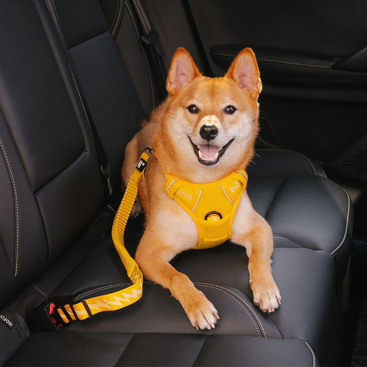 Malua | Adjustable Elastic Dog Car Seat Belt with Reflective Trim - image 5