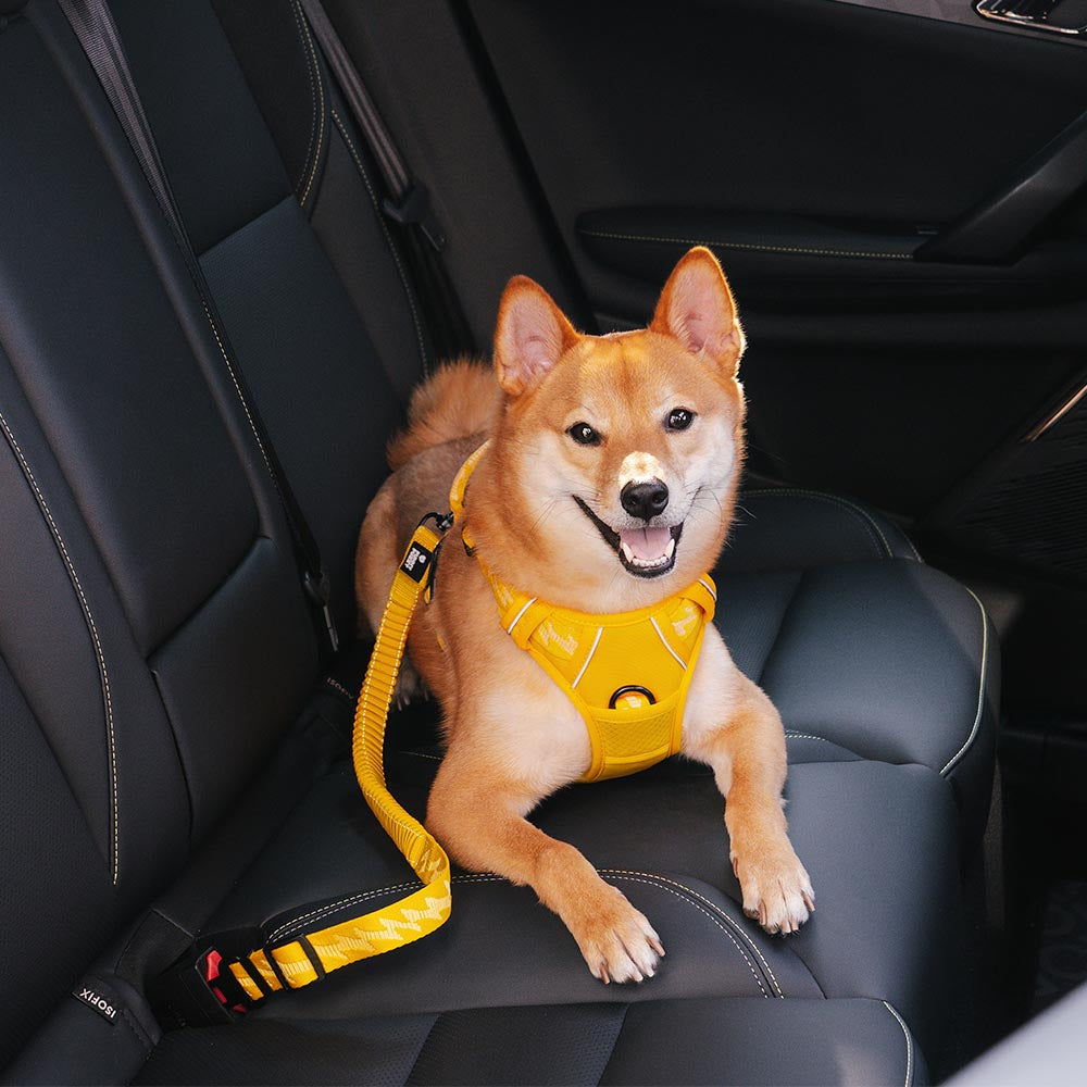Malua | Adjustable Elastic Dog Car Seat Belt with Reflective Trim - image 1