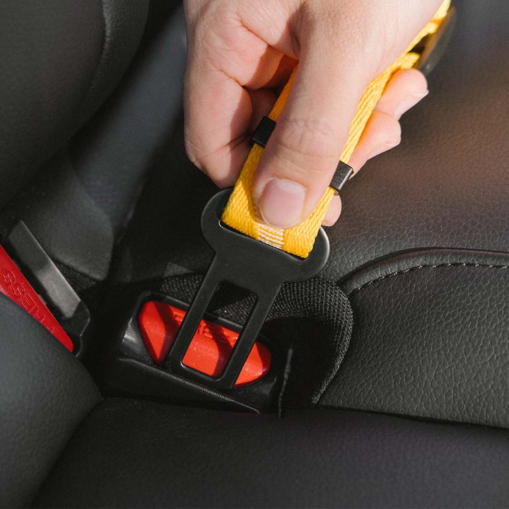 Malua | Adjustable Elastic Dog Car Seat Belt with Reflective Trim - image 6