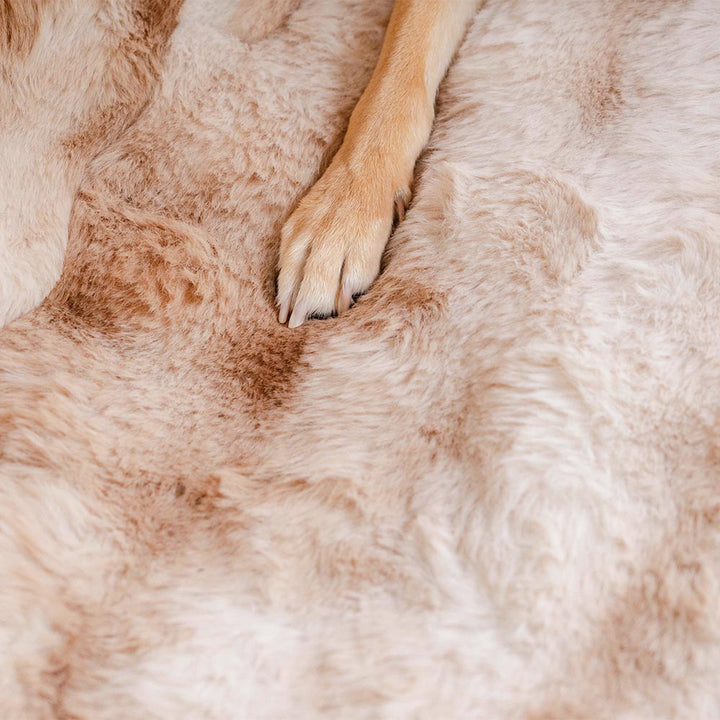 Terrigal | Fluffy Faux Fur Pet Blanket Car Seat Cover - image 5