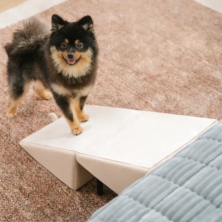 Mallacoota | 2-in-1 Velvet Dog Ramp and Step Stool for Beds - image 11