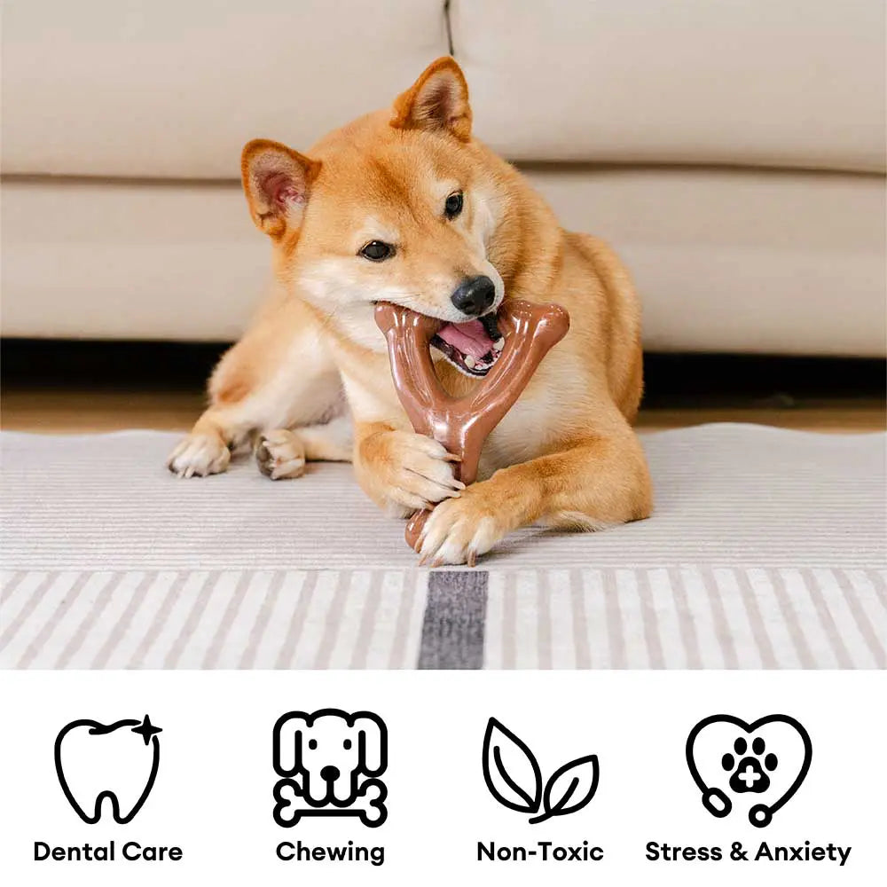 Paynesville | Bacon-Flavoured Nylon Chew Toy for Dogs - image 2