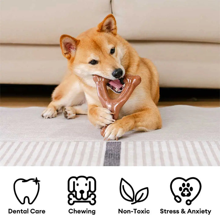 Paynesville | Bacon-Flavoured Nylon Chew Toy for Dogs - image 2