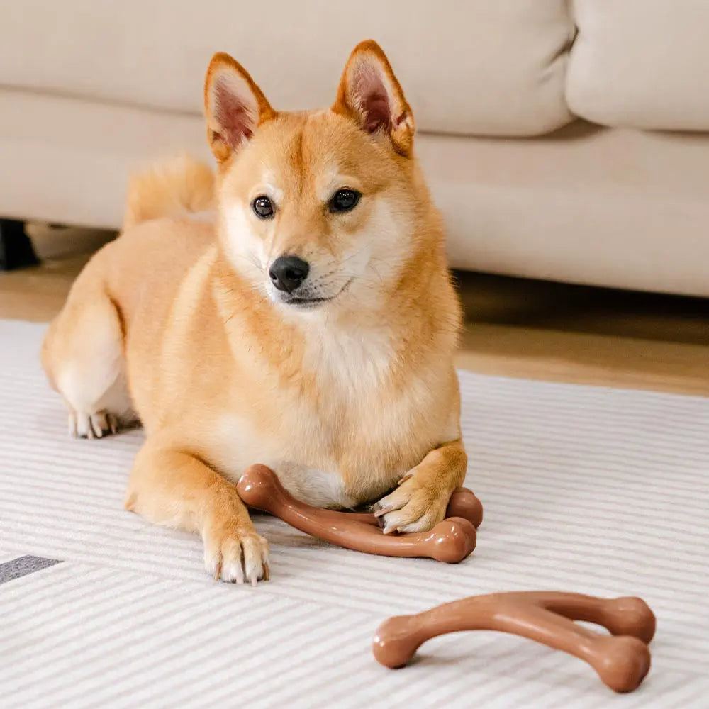 Paynesville | Bacon-Flavoured Nylon Chew Toy for Dogs - image 4