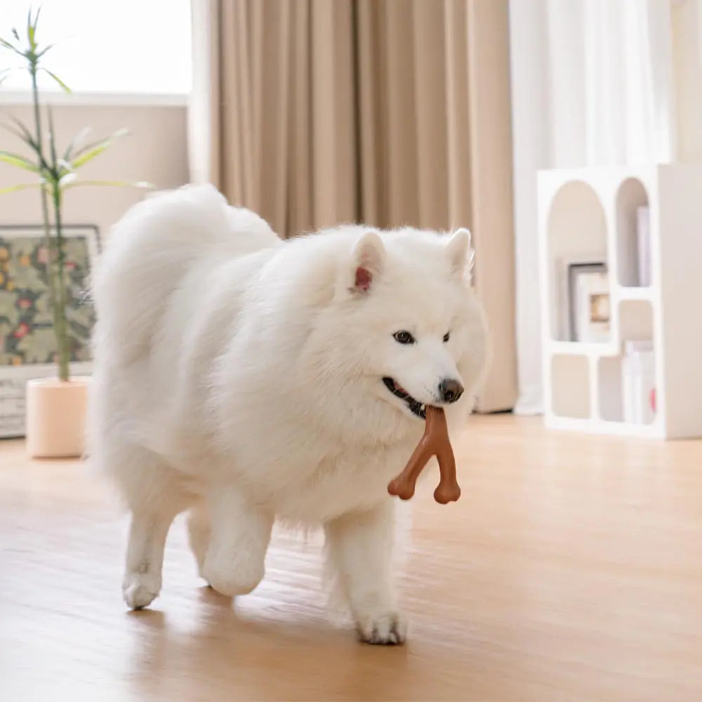 Paynesville | Bacon-Flavoured Nylon Chew Toy for Dogs - image 3