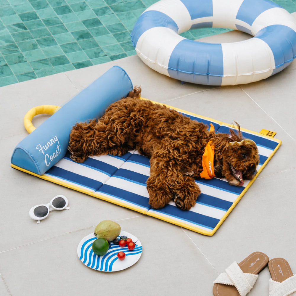 Sparrow | Portable Cooling Dog Mat with Memory Foam Cushion and Water Resistant Surface - image 6