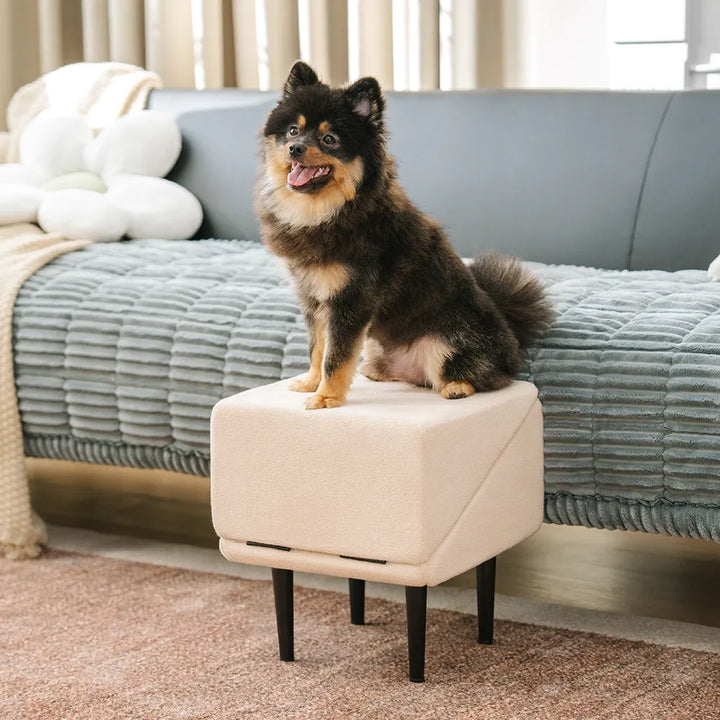 Mallacoota | 2-in-1 Velvet Dog Ramp and Step Stool for Beds - image 9