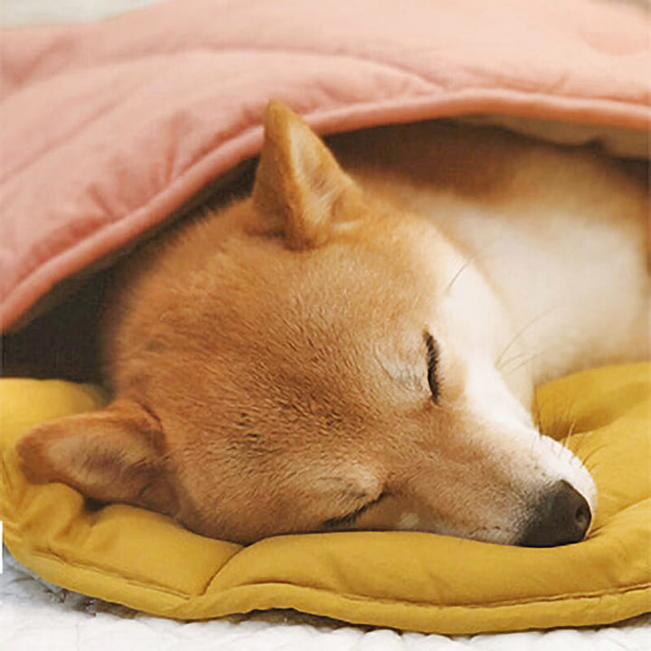 Bundeena | Leaf Shape Washable Dog Blanket and Mat - image 13