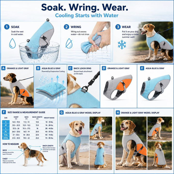 Vasiliki | Dog Cooling Vest for Summer Walks - image 5