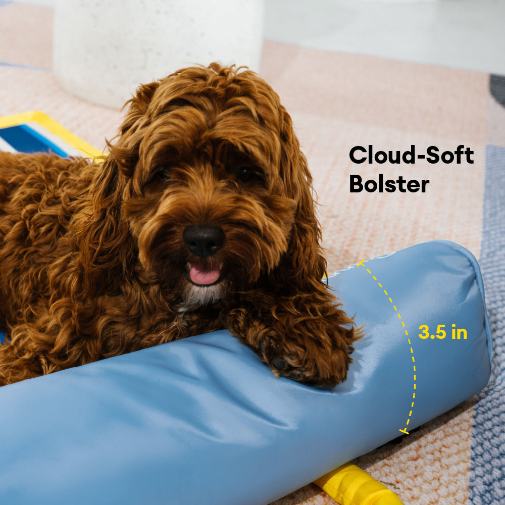 Sparrow | Portable Cooling Dog Mat with Memory Foam Cushion and Water Resistant Surface - image 8