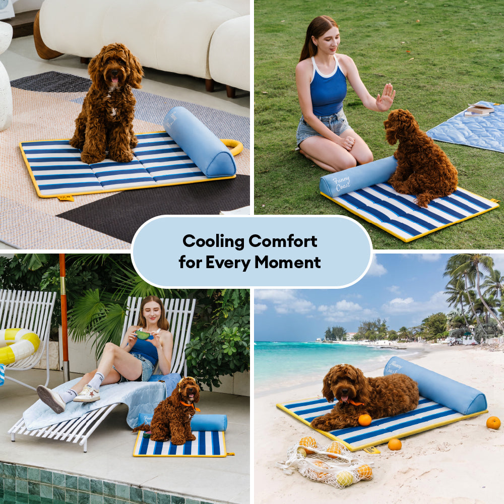 Sparrow | Portable Cooling Dog Mat with Memory Foam Cushion and Water Resistant Surface - image 11