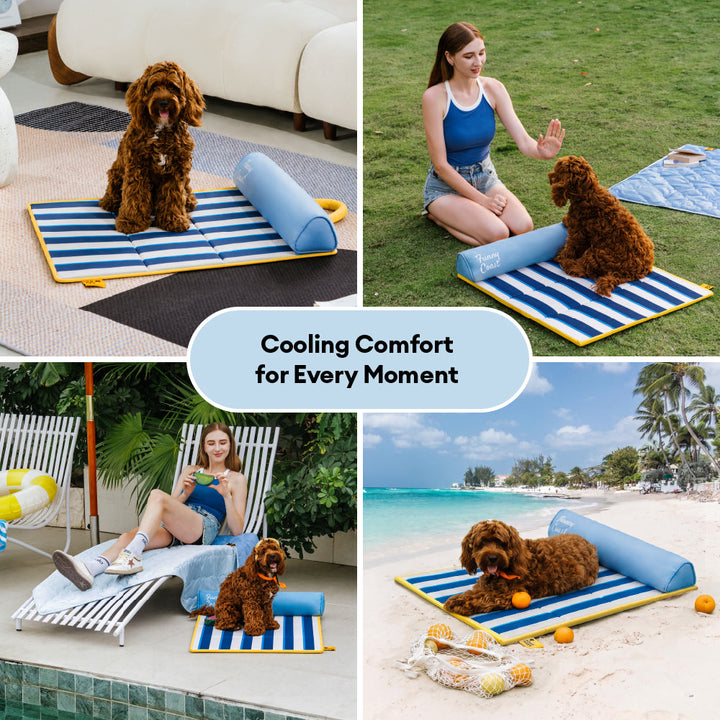 Sparrow | Portable Cooling Dog Mat with Memory Foam Cushion and Water Resistant Surface - image 11