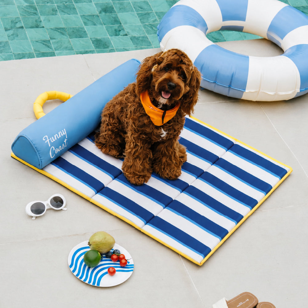 Sparrow | Portable Cooling Dog Mat with Memory Foam Cushion and Water Resistant Surface - image 5