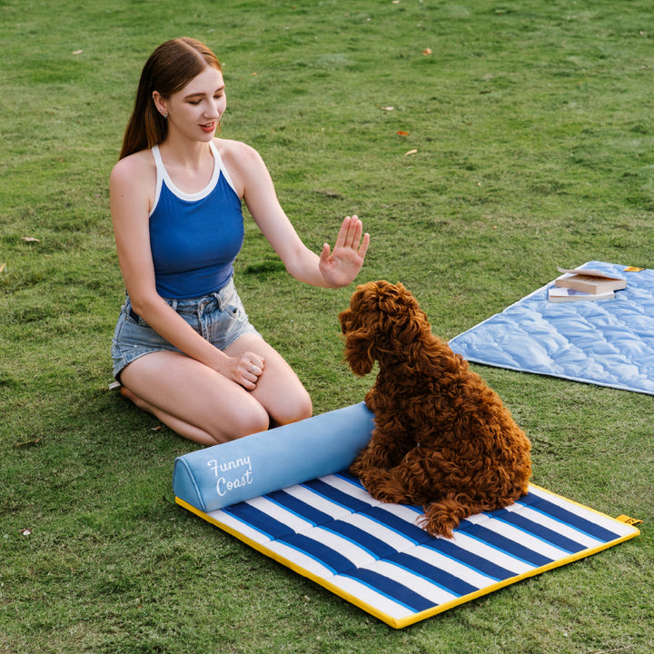 Sparrow | Portable Cooling Dog Mat with Memory Foam Cushion and Water Resistant Surface - image 4