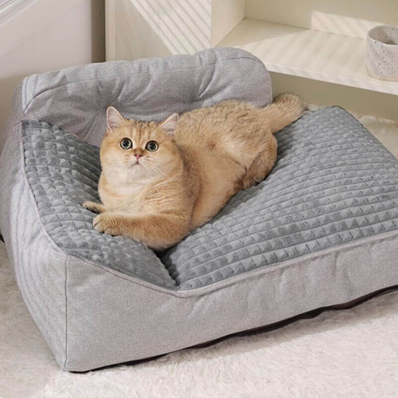 Marlo | Thick Washable Pillow Bed for Cats and Dogs - image 11