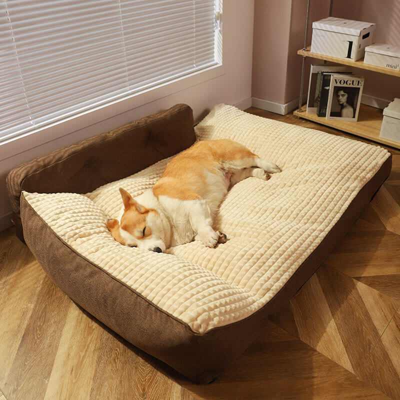 Marlo | Thick Washable Pillow Bed for Cats and Dogs - image 13