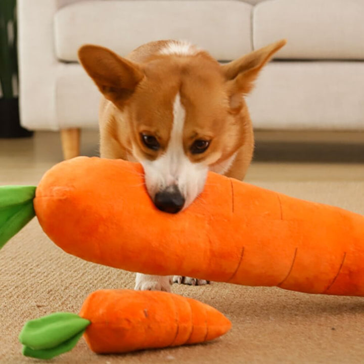 Dromana | Carrot Squeaky Plush Dog Toy - image 5