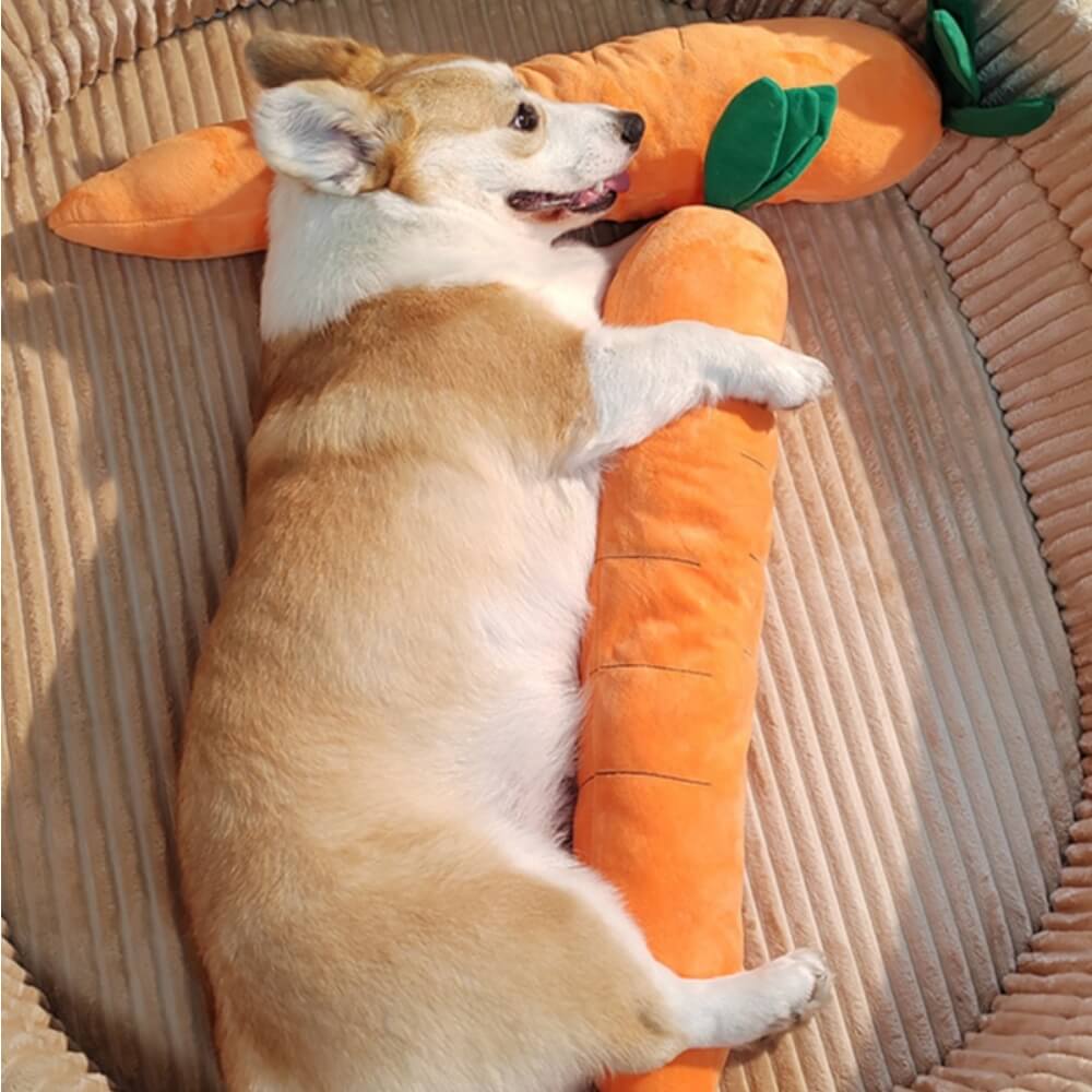 Dromana | Carrot Squeaky Plush Dog Toy - image 3
