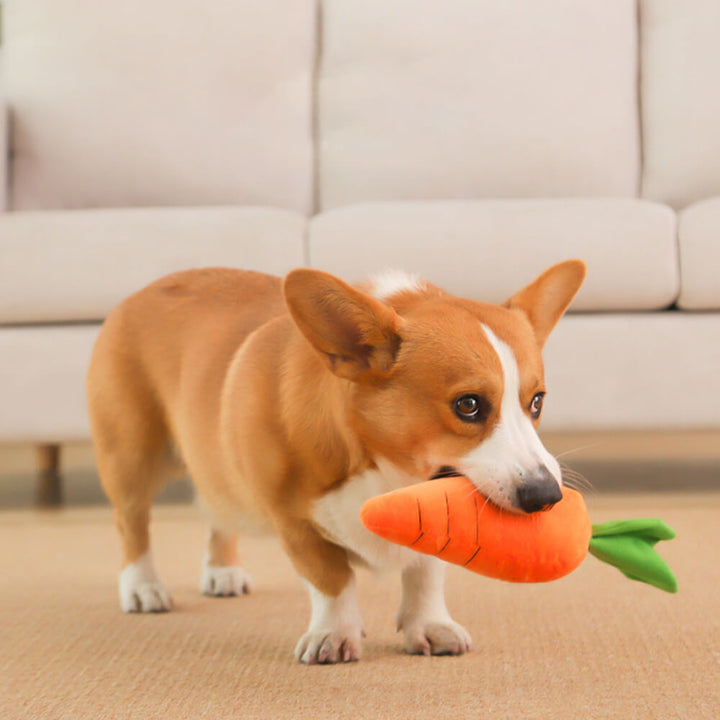 Dromana | Carrot Squeaky Plush Dog Toy - image 2