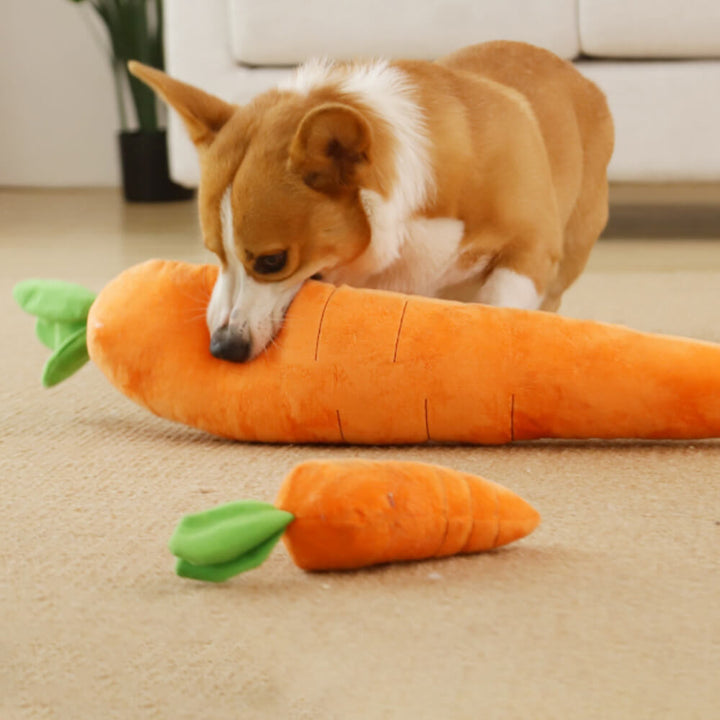 Dromana | Carrot Squeaky Plush Dog Toy - image 1