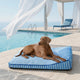 Numbat | Cooling Orthopedic Dog Bed, Large Design with High-Density Support for Joint Health - image 1