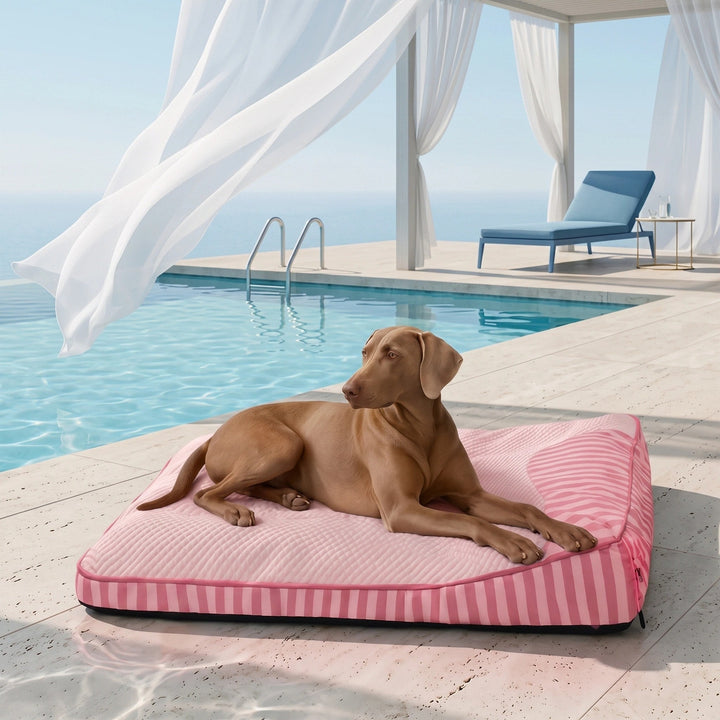 Numbat | Cooling Orthopedic Dog Bed, Large Design with High-Density Support for Joint Health - image 2
