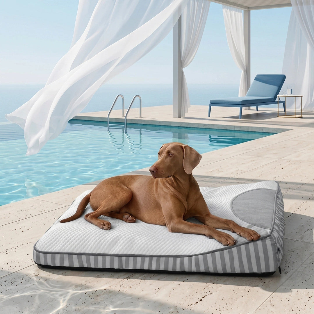 Numbat | Cooling Orthopedic Dog Bed, Large Design with High-Density Support for Joint Health - image 3