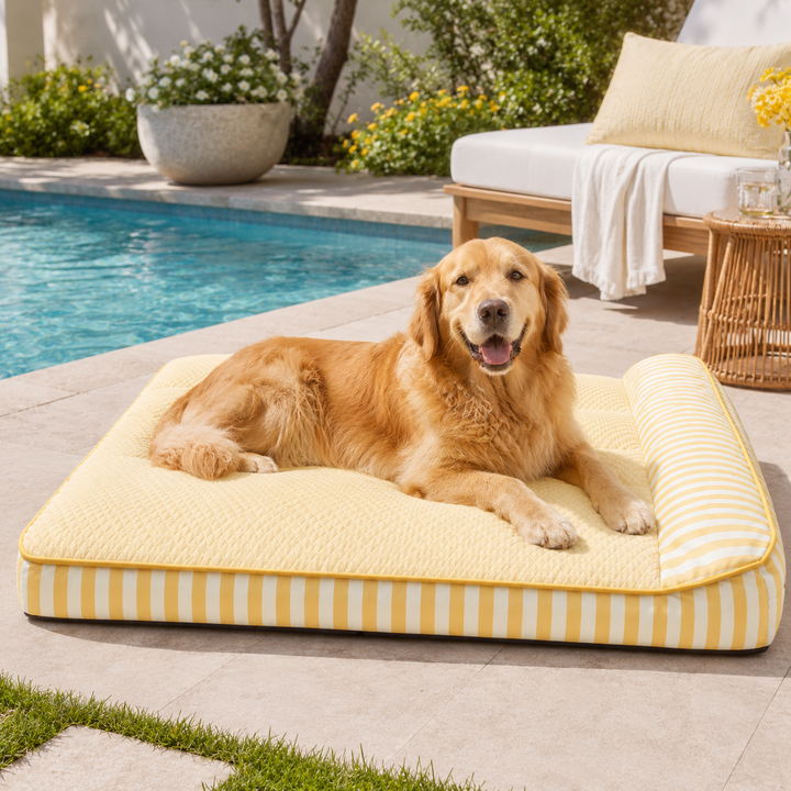 Evangelia | Cooling Orthopedic Dog Bed, Large Design with Joint Support & Breathable Fabric for Ultimate Comfort - image 3