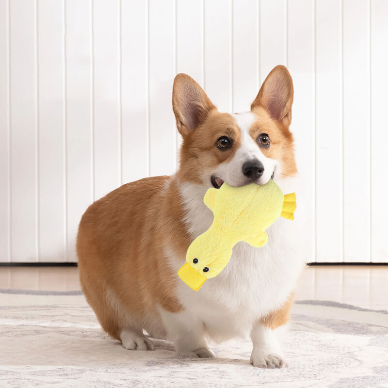 Cuttagee | Cute Plush Duck Squeaky Dog Toy - image 3