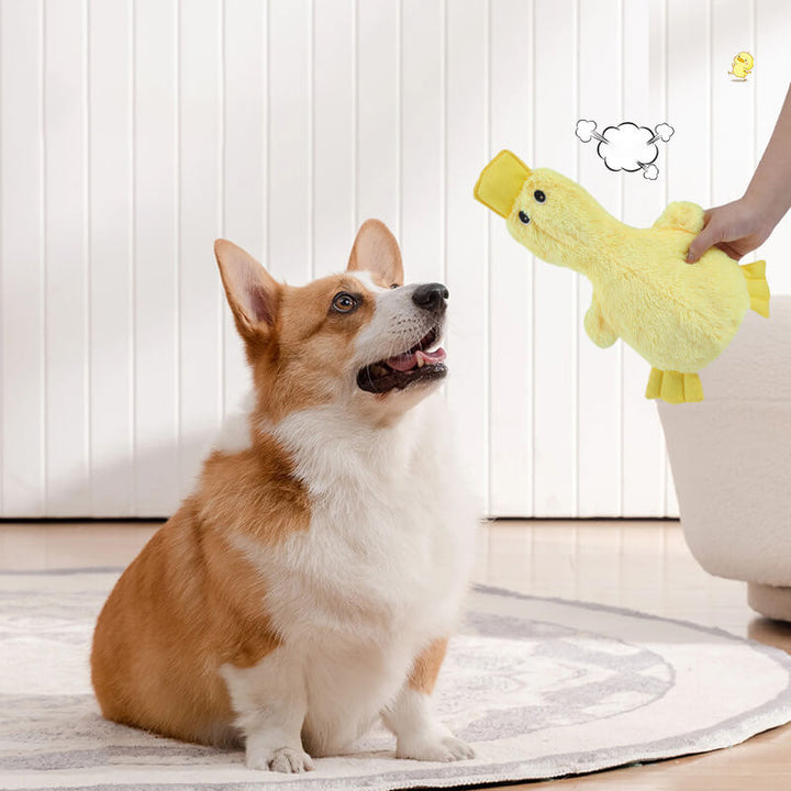 Cuttagee | Cute Plush Duck Squeaky Dog Toy - image 2