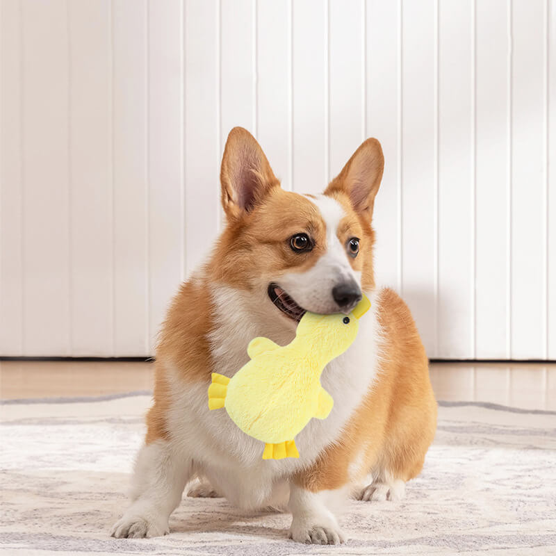 Cuttagee | Cute Plush Duck Squeaky Dog Toy - image 4