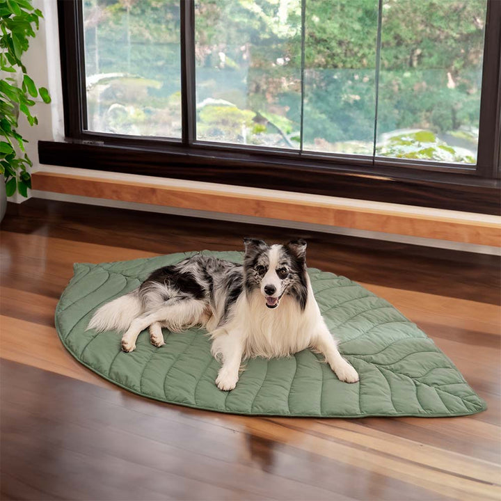 Bundeena | Leaf Shape Washable Dog Blanket and Mat - image 20