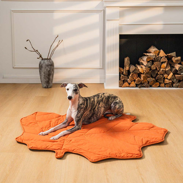 Bundeena | Leaf Shape Washable Dog Blanket and Mat - image 21