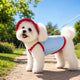 Argyro | Dog Cooling Vest and Sun Hat Set, Keep your dog cool and comfortable during hot summer walks. - image 12