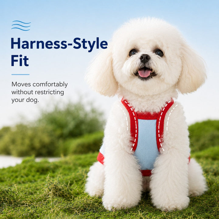Argyro | Dog Cooling Vest and Sun Hat Set, Keep your dog cool and comfortable during hot summer walks. - image 4