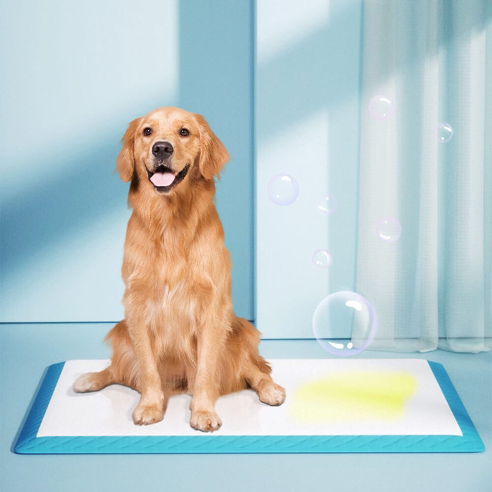 Umina | Absorbent Leak-Proof Dog Training Pads - image 5