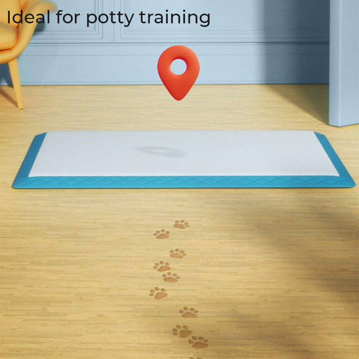Umina | Absorbent Leak-Proof Dog Training Pads - image 4