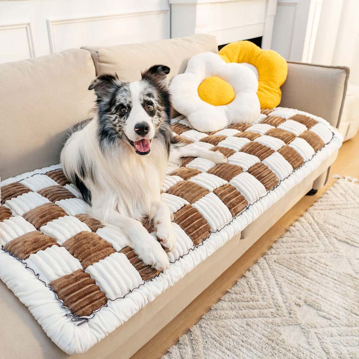 Kurnell | Cream Plaid Chenille Pet Mat and Couch Cover - image 7