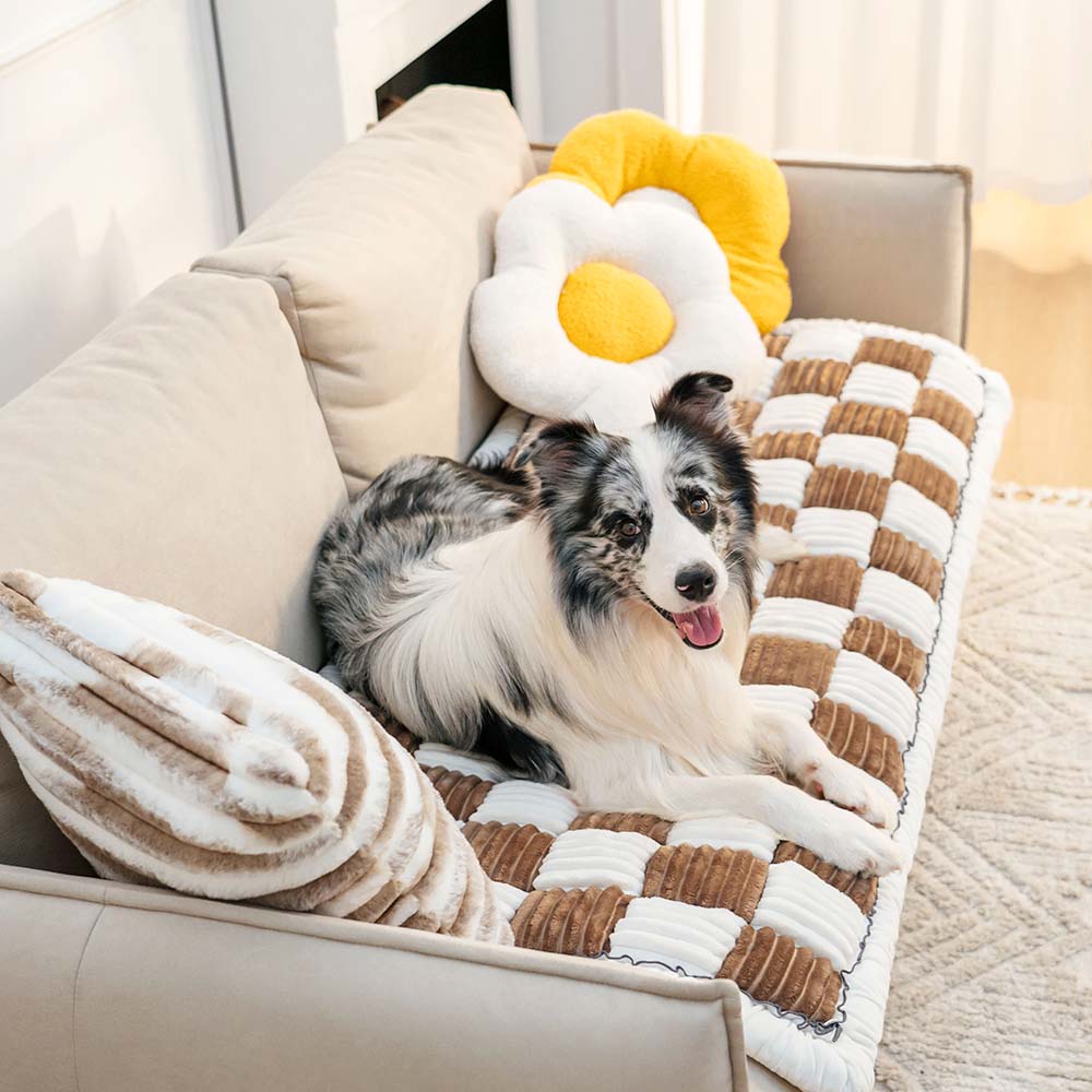 Kurnell | Cream Plaid Chenille Pet Mat and Couch Cover - image 15