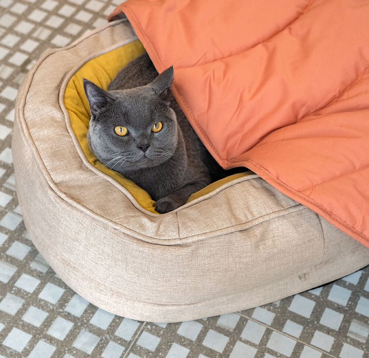 Newport | Fluffy Donut Dog and Cat Bed - image 13