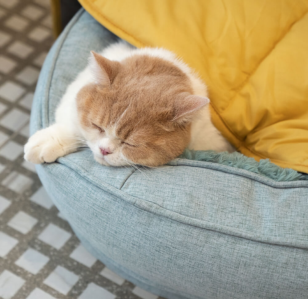 Bundeena | Leaf Shape Washable Dog Blanket and Mat - image 16