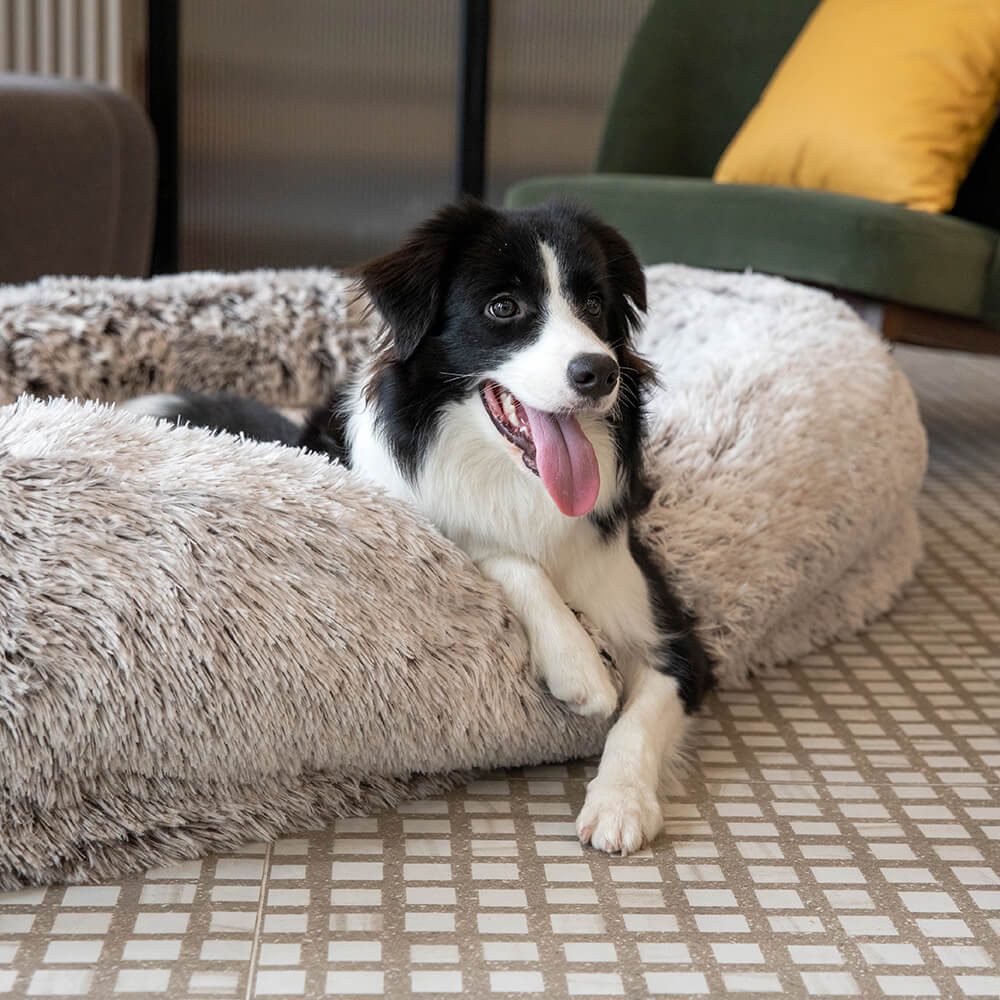 Inverloch | Extra Large Human Dog Bed with Faux Fur Throw - image 12