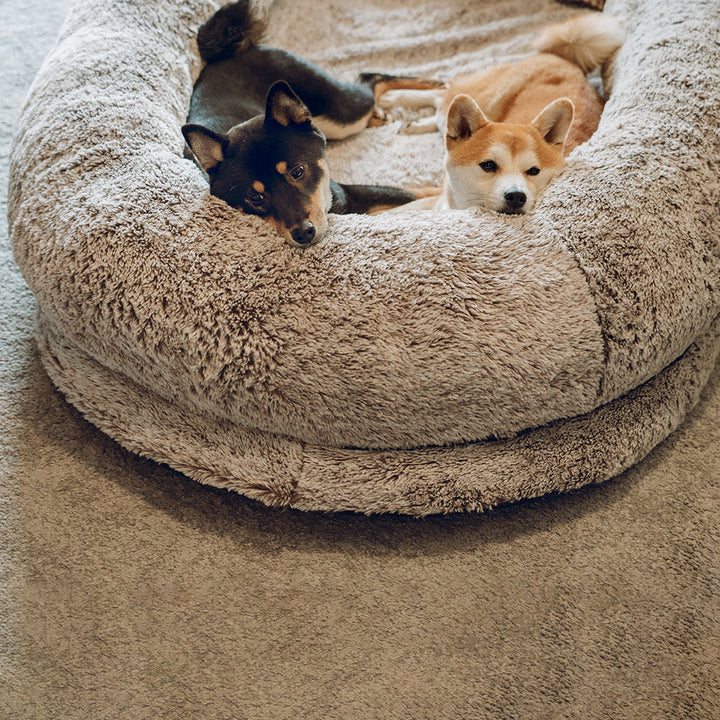 Inverloch | Extra Large Human Dog Bed with Faux Fur Throw - image 13