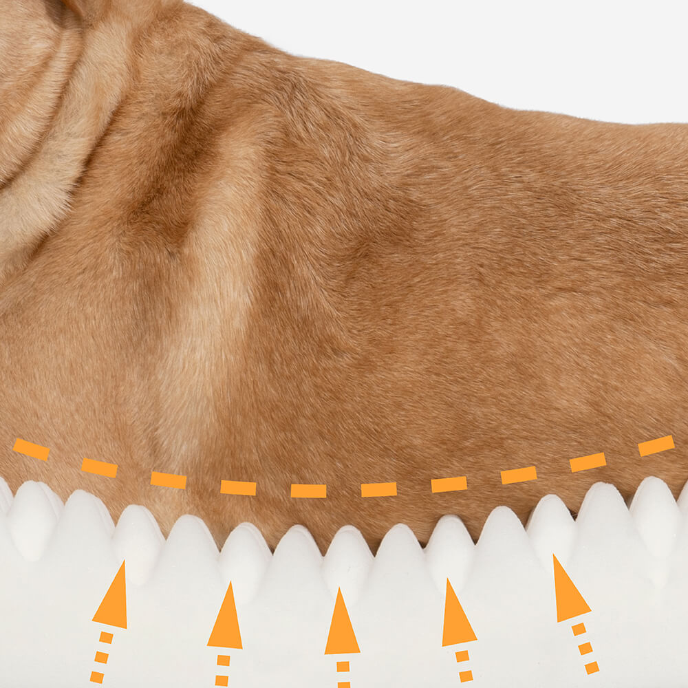 Newport | Fluffy Donut Dog and Cat Bed - image 5