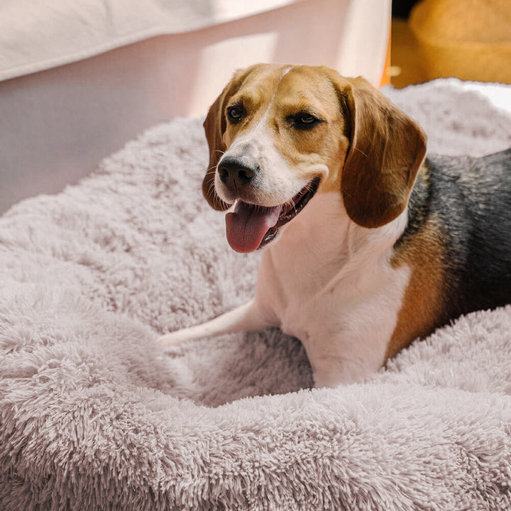 Tamarama | Fluffy Round Faux Fur Dog Bed - image 3
