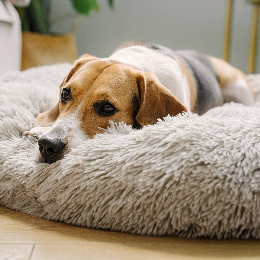 Tamarama | Fluffy Round Faux Fur Dog Bed - image 6